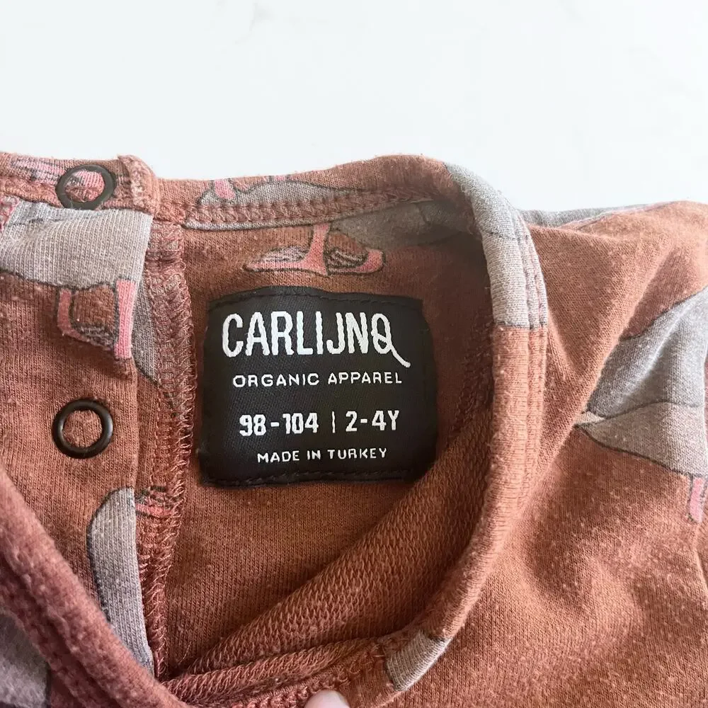 Carlijnq girls brown duck print jersey dress size 2/4